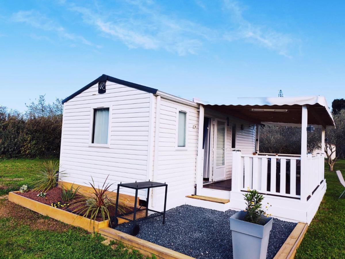 Holiday home Del Cargol Palau-del-Vidre