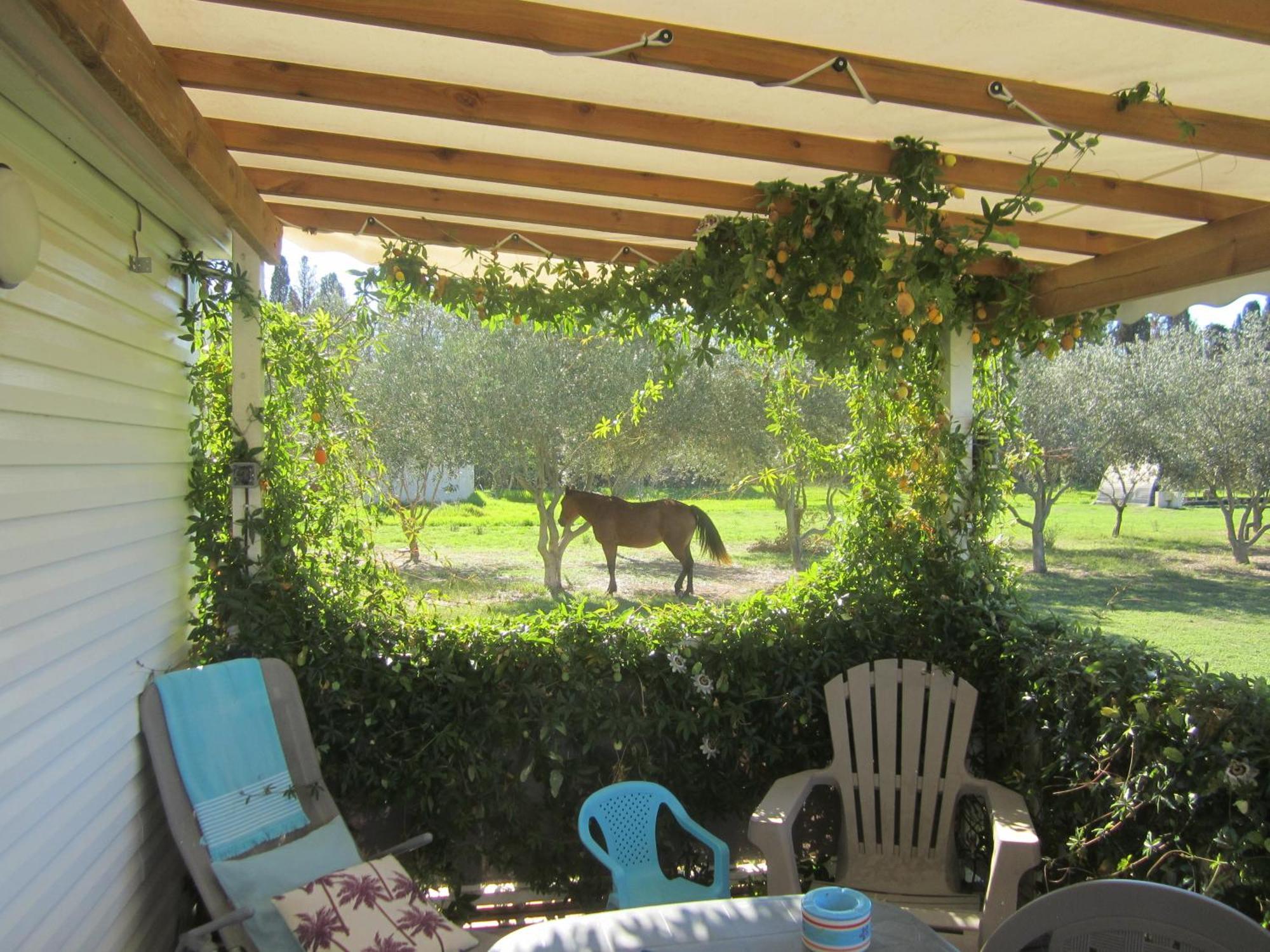 Holiday home Del Cargol
