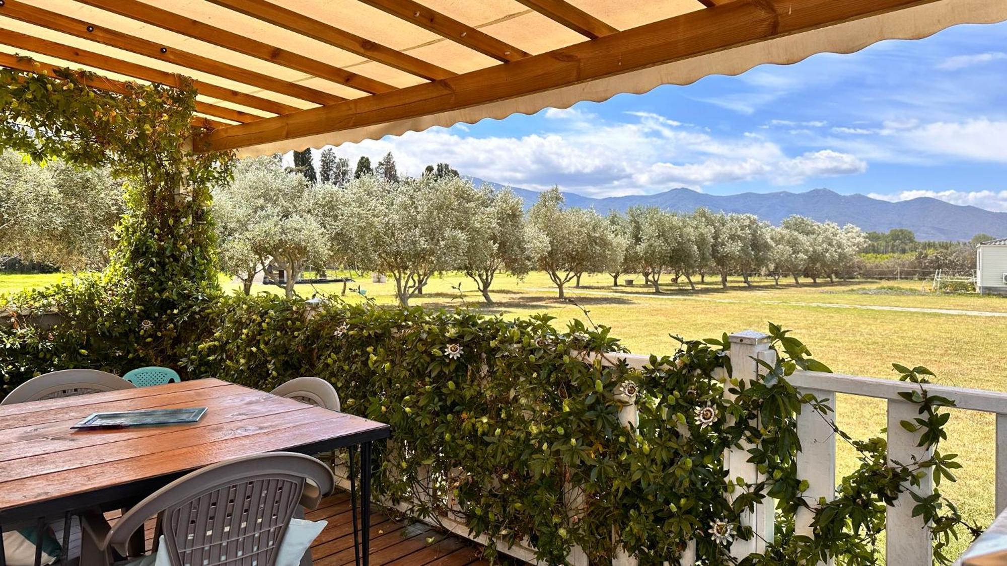 Holiday home Del Cargol Palau-del-Vidre